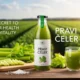 Pravi Celer