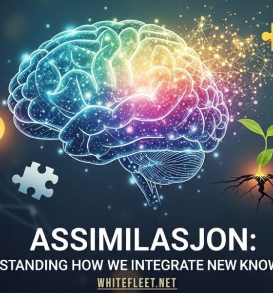 Illustration showing how new knowledge integrates into existing mental frameworks, representing assimilasjon in learning.