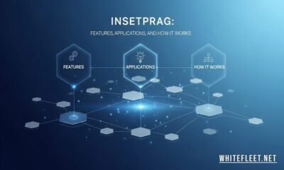 Insetprag software interface showing data analytics and productivity tools