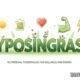 Lyposingrass