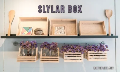 Slylar Box neatly organizing living room items with a modern design