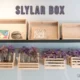 Slylar Box neatly organizing living room items with a modern design