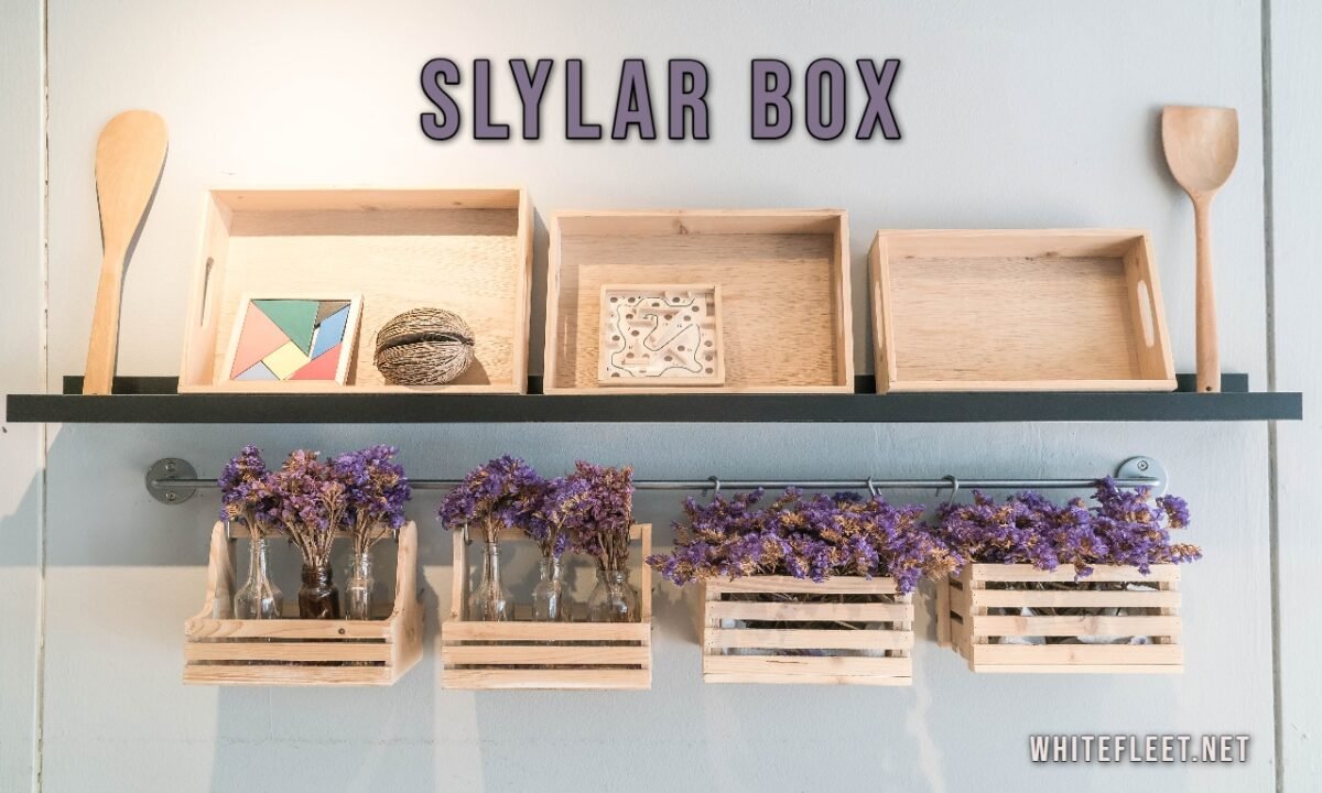 Slylar Box neatly organizing living room items with a modern design