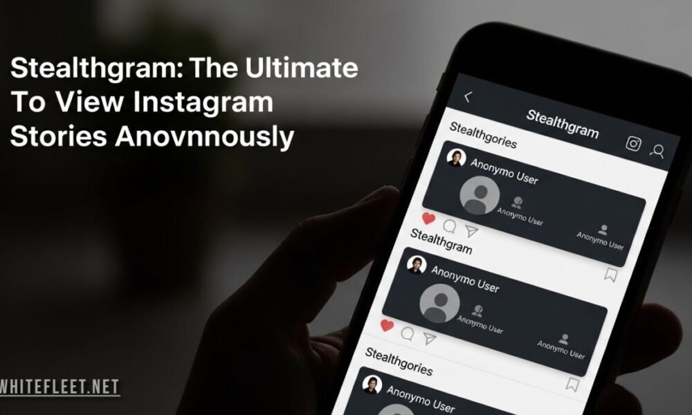 Stealthgram app interface showing anonymous Instagram story viewer