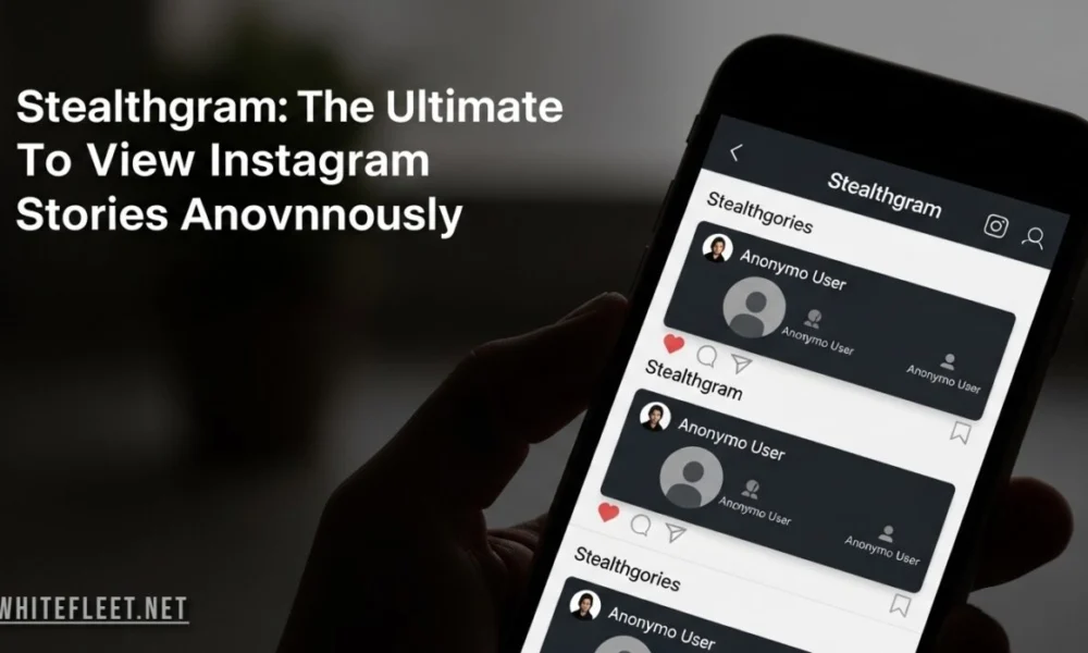 Stealthgram app interface showing anonymous Instagram story viewer