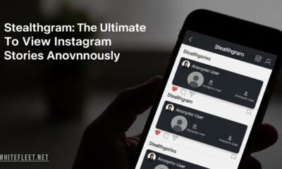 Stealthgram app interface showing anonymous Instagram story viewer