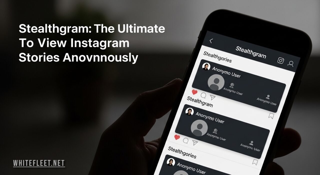 Stealthgram app interface showing anonymous Instagram story viewer
