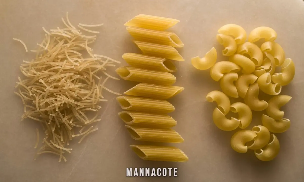 Mannacote: The Ultimate Comfort Food Pasta Dish - White Fleet