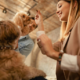 How to Choose the Best Dog Daycare for Your Pet in Miami
